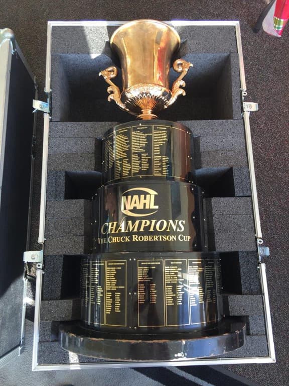 A trophy protected inside a custom foam insert in a case